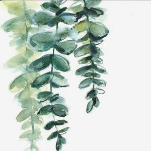 Meet your Posher, Bailey